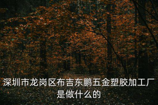 深圳市龍崗區布吉東鵬五金塑膠加工廠是做什么的