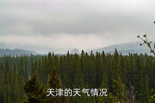 天津市天氣預(yù)報(bào)，天津的天氣情況