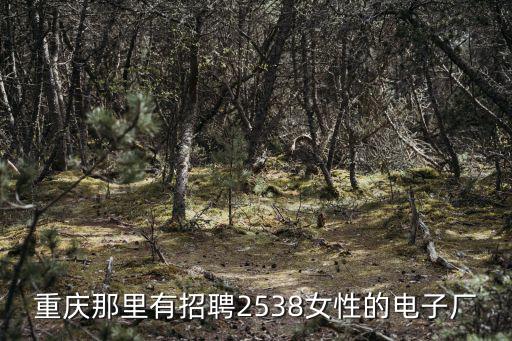 重慶那里有招聘2538女性的電子廠