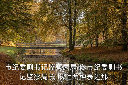 市紀委副書記監(jiān)察局局長 市紀委副書記監(jiān)察局長 以上兩種表述那