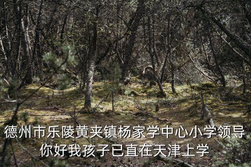 天津市市直機(jī)關(guān)幼兒園領(lǐng)導(dǎo)，天津市對鄉(xiāng)下幼兒園老師培訓(xùn)是不是沒有要求院長偏心誰就讓誰培