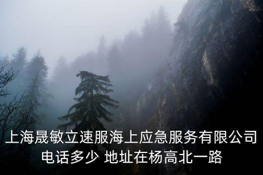 上海晟敏立速服海上應急服務有限公司電話多少 地址在楊高北一路