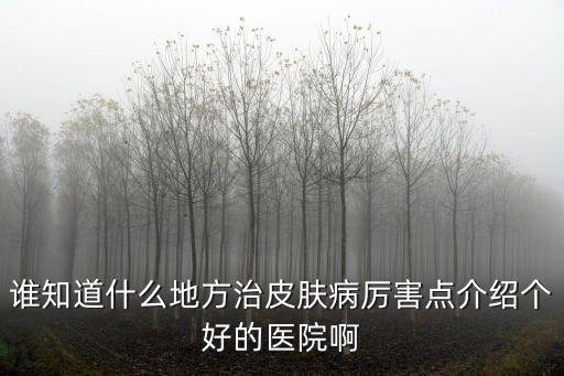 誰知道什么地方治皮膚病厲害點(diǎn)介紹個(gè)好的醫(yī)院啊
