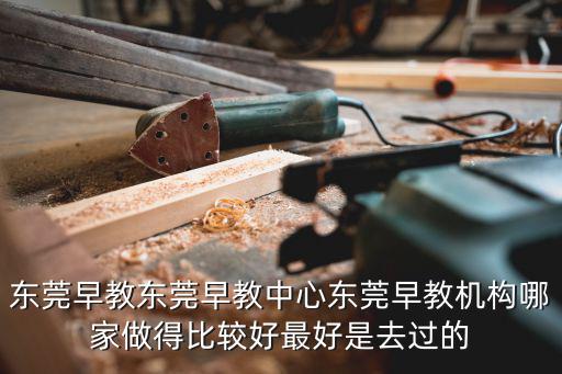 東莞早教東莞早教中心東莞早教機(jī)構(gòu)哪家做得比較好最好是去過的