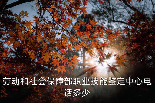 勞動(dòng)和社會(huì)保障部職業(yè)技能鑒定中心電話多少