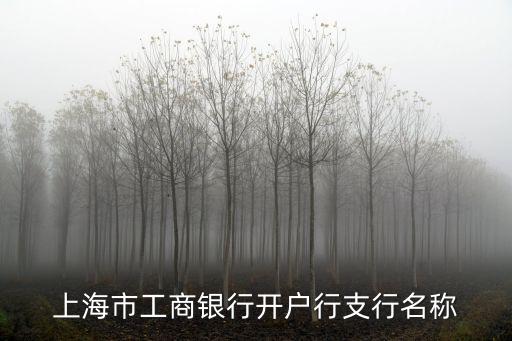 上海市工商銀行開戶行支行名稱