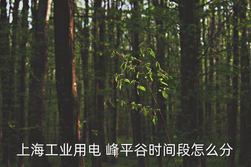 上海工業(yè)用電 峰平谷時間段怎么分