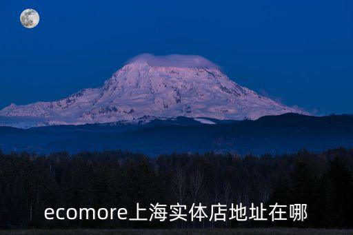 ecomore上海實(shí)體店地址在哪