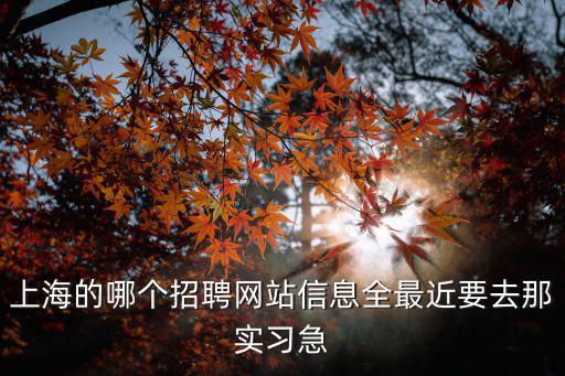 上海的哪個招聘網站信息全最近要去那實習急