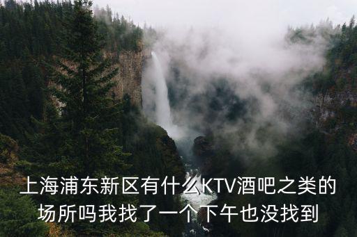 上海浦東新區有什么KTV酒吧之類的場所嗎我找了一個下午也沒找到