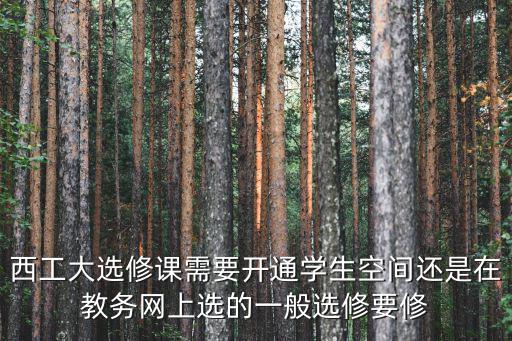 西工大選修課需要開通學生空間還是在教務網上選的一般選修要修