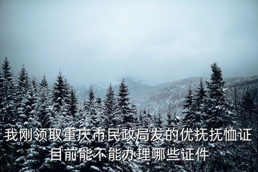 我剛領(lǐng)取重慶市民政局發(fā)的優(yōu)撫撫恤證目前能不能辦理哪些證件