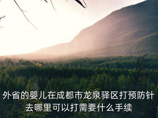 外省的嬰兒在成都市龍泉驛區打預防針去哪里可以打需要什么手續