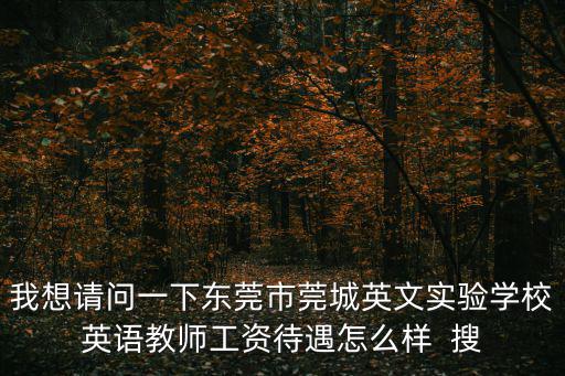我想請問一下東莞市莞城英文實驗學校英語教師工資待遇怎么樣  搜
