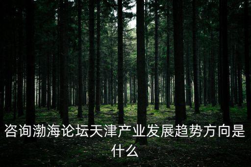 天津市產業轉移，咨詢渤海論壇天津產業發展趨勢方向是什么