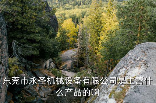 東莞市永圣機械設備有限公司是主營什么產品的啊