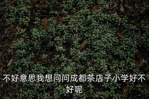 不好意思我想問問成都茶店子小學(xué)好不好呢