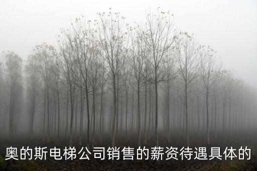 深圳奧的斯電梯招聘，奧的斯電梯公司銷售的薪資待遇具體的
