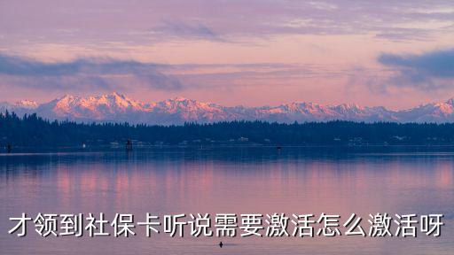 才領到社保卡聽說需要激活怎么激活呀