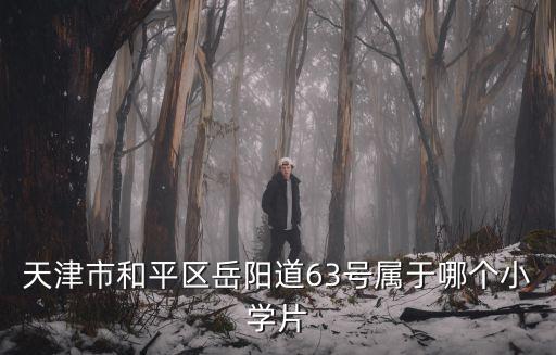 天津市和平區岳陽道63號屬于哪個小學片