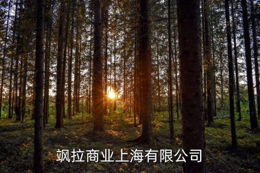 颯拉商業(yè)上海有限公司