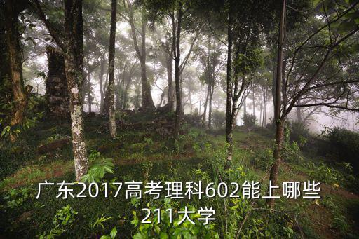 廣東2017高考理科602能上哪些211大學