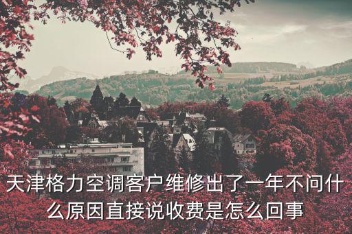 天津格力空調客戶維修出了一年不問什么原因直接說收費是怎么回事