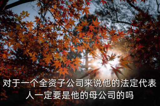 對于一個全資子公司來說他的法定代表人一定要是他的母公司的嗎
