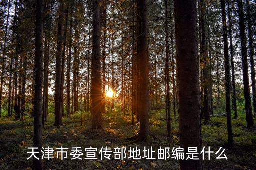 天津市委宣傳部地址郵編是什么