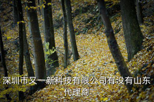 深圳市又一新科技有限公司有沒有山東代理商