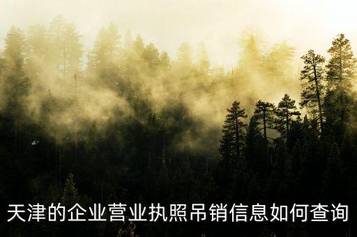 天津的企業(yè)營(yíng)業(yè)執(zhí)照吊銷信息如何查詢