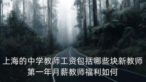 上海的中學教師工資包括哪些塊新教師第一年月薪教師福利如何