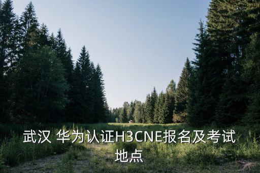 武漢 華為認證H3CNE報名及考試地點