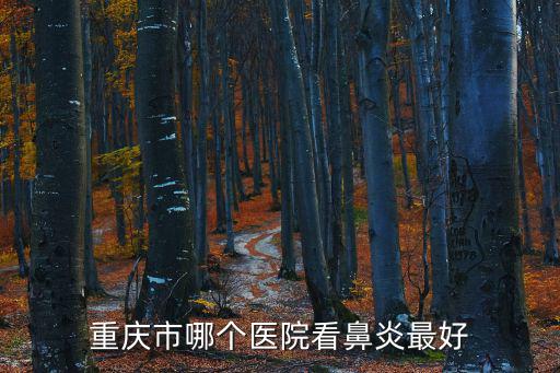 重慶市中華魂2017，重慶市2017年高考第一志愿和第二志愿的區(qū)別