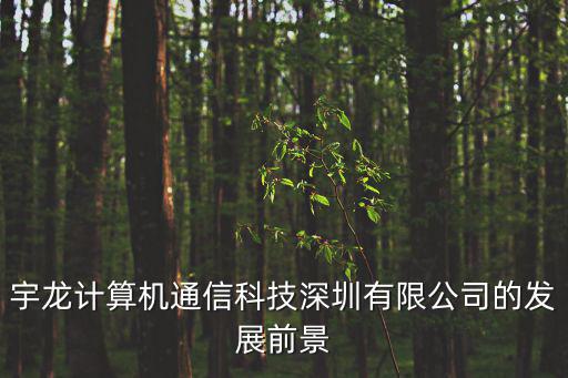 宇龍計(jì)算機(jī)通信科技深圳有限公司的發(fā)展前景