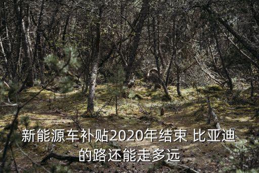 新能源車補貼2020年結束 比亞迪的路還能走多遠