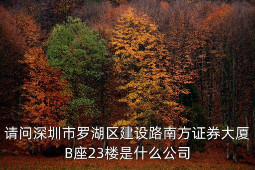 深圳市成昌貿易有限公司，深圳市沙井鎮博崗村覺園工業區崗頭路3號C棟這個公司叫什么名字
