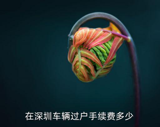 在深圳車輛過戶手續費多少