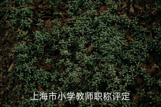 上海市小學教師職稱評定