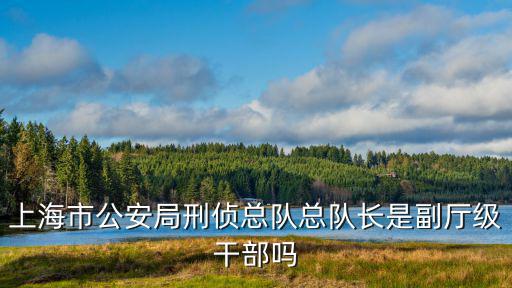 上海市公安局刑偵總隊(duì)總隊(duì)長是副廳級(jí)干部嗎