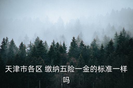 天津市各區 繳納五險一金的標準一樣嗎