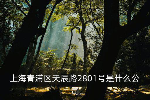 上海青浦區天辰路2801號是什么公司