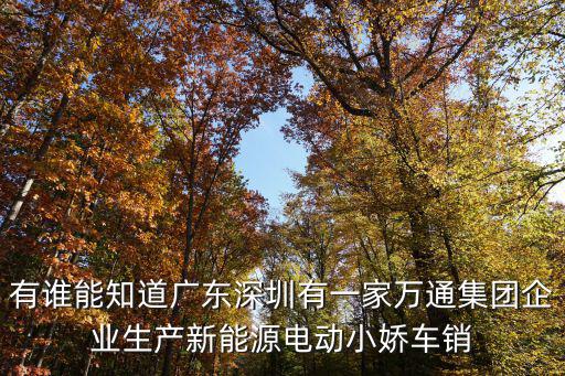 有誰能知道廣東深圳有一家萬通集團企業(yè)生產新能源電動小嬌車銷