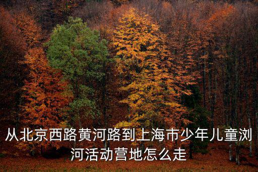 從北京西路黃河路到上海市少年兒童瀏河活動營地怎么走