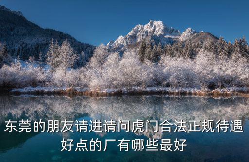 東莞什么廠正規，東莞哪些廠正規點福利好點