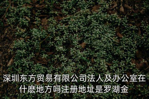 歐德來(lái)深圳貿(mào)易有限公司，深圳市寶安新湖路華美居商務(wù)中心A區(qū)C座616是什么公司或者說公司