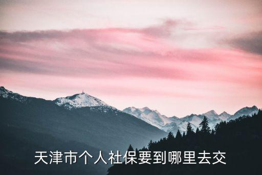 天津市個人社保要到哪里去交