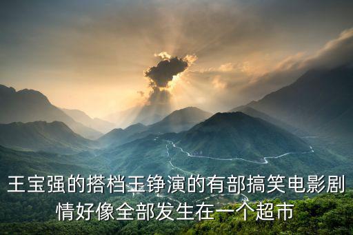 王寶強的搭檔王錚演的有部搞笑電影劇情好像全部發生在一個超市