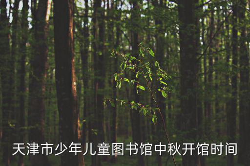天津市少年兒童圖書館中秋開館時間