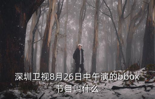 深圳衛(wèi)視8月26日中午演的bbox節(jié)目叫什么